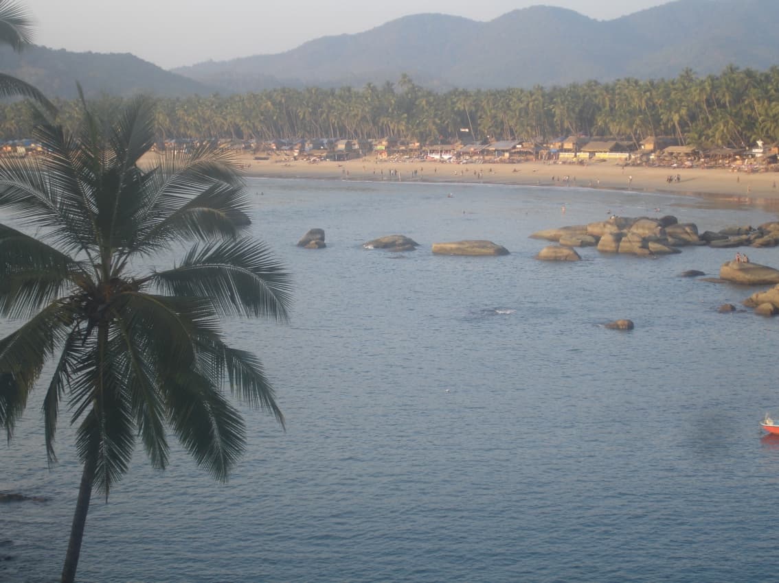 Palm-backed curve of sand at Palolem beach, Goa